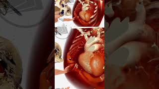 Medical Education and Training in Virtual Reality | Free Download! #VirtualReality #MedicalEducation