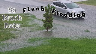 洪水注意報