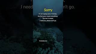 When “Sorry” Means “Don’t Leave”… 💔🙏#Sorry #EmotionalLove #PleaseStay