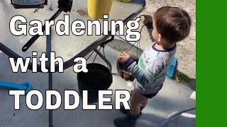 Sowing Seeds with Jack #kidsinthegarden