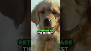 Ancient Streets You Should Walk Down