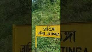 #IndiaFacts #MysteryOfIndia #CrazyFacts #BirdSuicideVillage #UnbelievableIndia #Shorts #amazingfact