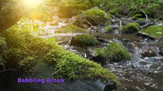 Gentle Babbling Brook / 10 Hours / #waterambience #naturesounds #babblingbrook
