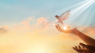Releasing Grief: A Guided Imagery Journey for Healing & Letting Go