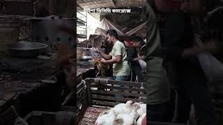 #cow #banglapop #romanticmusic #funny #lovemusic #folkgaan #unfrezzmyaccount #lovesong #comedy