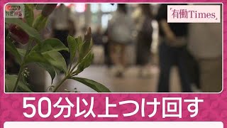 神戸女性殺害で新供述「まったく知らない人」50分以上つけ回す…3年前にも逮捕歴(2025年8月24日)