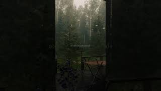 #barulhodechuvaforte #barulhodechuvaparadormir #relaxingsounds #sleepsounds