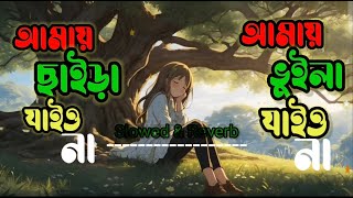 আমায় ছাইড়া যাইওনা এতো পাষান হইওনা | Lofi song  | slowed &Reverb Song | Reset lofi macker