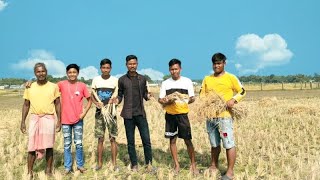 আজকে আমাদের ধান নিয়ে য়াবার 🌾🌾🌾 Deb Rajbongshi Vlog