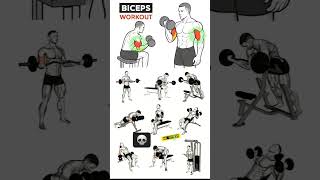 Top Dummbell Biceps Workout/Grow Arms Fast#workout  #armworkout  #bicepsworkout  #biceps
