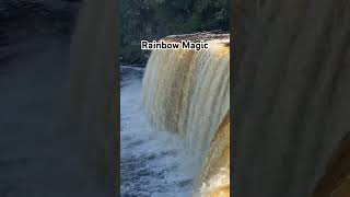 Rainbow Magic at Upper Tahquamenon Falls #shorts #usa #NatureLovers #RainbowFalls #UpperTahquamenon