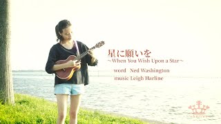星に願いを When You Wish Upon a Star【ukulele arrange ウクレレアレンジ】〜中学生ウクレレプレーヤー「ukurena」の演奏〜
