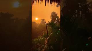 I could wake up to this every morning ⛅ #viralshort #nature