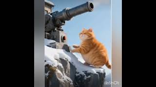 ai ❤️❣️💕 cat🐈😺🐈🐈😊😊 #vairlvidoe #funny #mhdrafi #vairlvlogs #cute #vews #song #animals #pets
