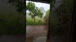 हावाहुरी चल्यो 😳 #nature #rain