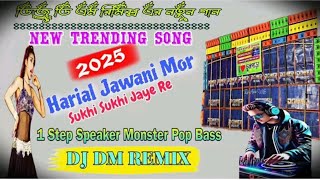 Hariyal jawani mori sukhi sukhi jaye re dj  New Trending Song Humming Mix 2025 || ‎⁨@DJDMREMIX10K⁩ 
