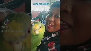 Alhamdulillah he loves it 💓 #shortvideos #animallover #parrot #foryourpage #fypviral #love