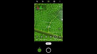 Macro Photography Tricks with Mobile ✨ #shorts