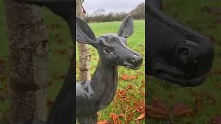 Bronze Deer. #bronzedeer #bronze #deer #garden #salvagehunters