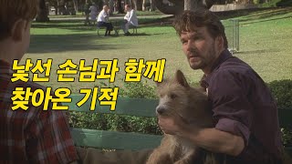 힘들지만 씩씩하게 살아온 세 모자 앞에 나타난 놀랍고도 따뜻한 기적 [영화리뷰/결말포함]