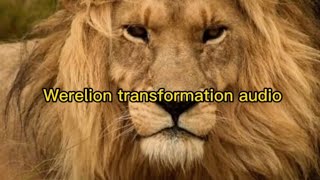 Werelion transformation audio