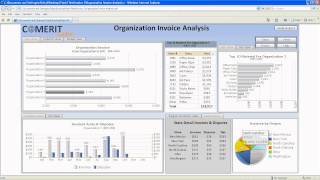 SAP BusinessObjects BI 4.0 Dashboard Organization Invoicing Demo - Xcelsius