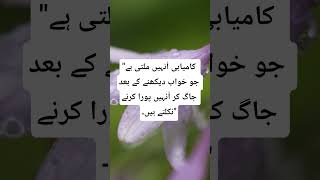 #MehnatKaPhal #SuccessMindset #UrduMotivation #SapnoKiTabeer #InspiringSoch