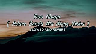 Ruu Chaya ( Adare Sanda Ma Mage Sitha ) - D brothers | Slowed AND Reverb | ONE MUSIC LK
