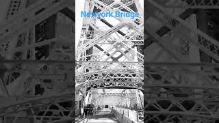 1883's Historical Brooklyn bridge of Newyork #brooklyn