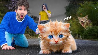コヨーテの攻撃から捨てられた子猫を救出しました！