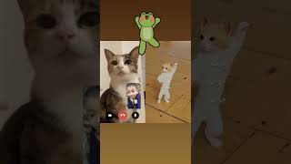 #reelsvideo #cutebaby  bilay mew