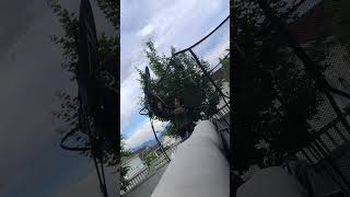 Tramp shot