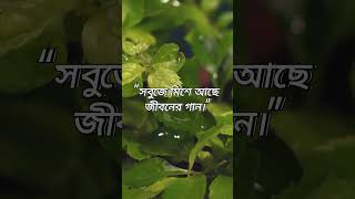 "প্রকৃতির ছোঁয়ায় মনটা শান্ত 🍃