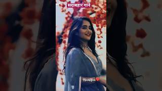 #love status#romantic love status#short video#daily video#couple love status#sad love status#
