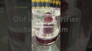Water purifier aquarium #aquascape #shrimptank #waterpurifier #fishtankdesign #fishtank #plantedtank