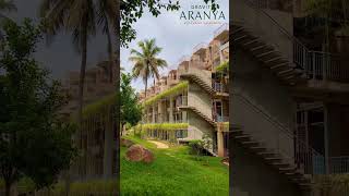 From Traffic Chaos to Tranquil Living