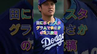 Shohei Ohtani が“ある食べ物”を爆食い…アメリカでまさかの議論に😱