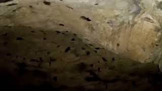 రెండు సంవ్సరాలక్రితం వెళ్ళినా కటమయ్య గృహలోకి మళ్ళీ వెళ్తున్నాం  ఇప్పుడు ఎలా వుందో చూద్దాం రండి