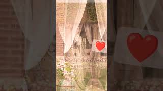 dil chahida # punjabi song# shorts