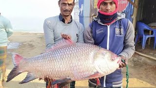 আজকের মাছের 🐟🎏 বাজারে পরিতৃপ্তি                    ১ মাছের ওজন ২৭ কেজি