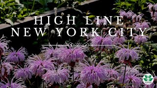 High Line Floral Wonder