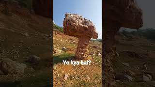 Mushroom Stone | Unique Stone | Unique Video | Unique Status | #shorts