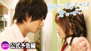 浮所飛貴＆白石聖主演！映画『胸が鳴るのは君のせい』特報