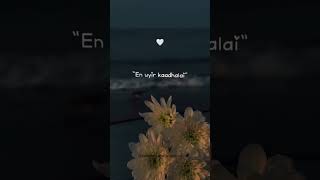 Ennai vittu chellatheyy #tamillovestatus #trending#tamillovesong #sadlovestatustamil #ennaikollathey