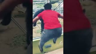 Funny videos 😂😂😂😂😂😂😂 subscribe please