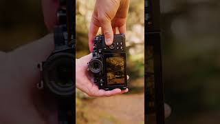 Crisp Autumn Camping Shot on the Nikon Z f l #NikonCreators