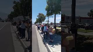 NO KINGS PROTEST #nokings #trump #protest #protest2025 #nokingsprotest