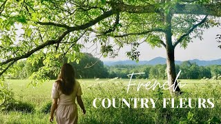 TRANQUIL MORNING moments in the French countryside…