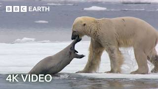 2 Hours of Stunning 4K Nature Scenes | 4K UHD | BBC Earth