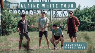 EVENING THE SCORE TOUR: VINNIES DIVE GOLD COAST